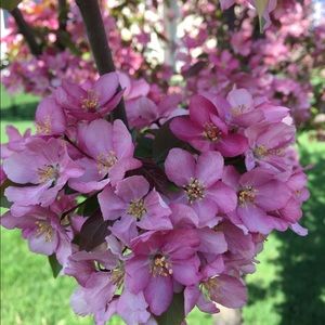 Meet your Posher, Ameeta